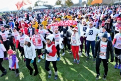 46024702_488093298263178_284506652390981632_o